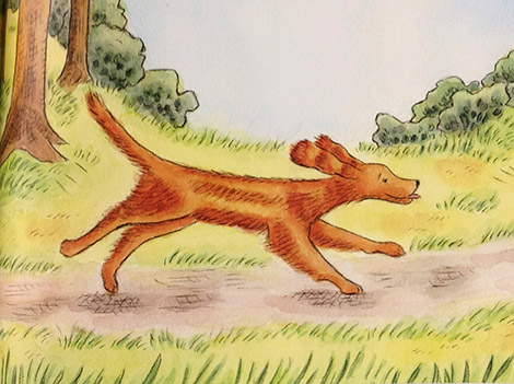 Reviews of Helen Keller's Best Friend Belle